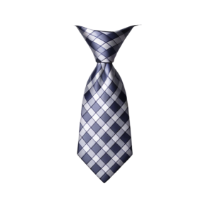 Checkout Page Softesa