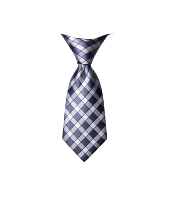 Checkout Page Softesa